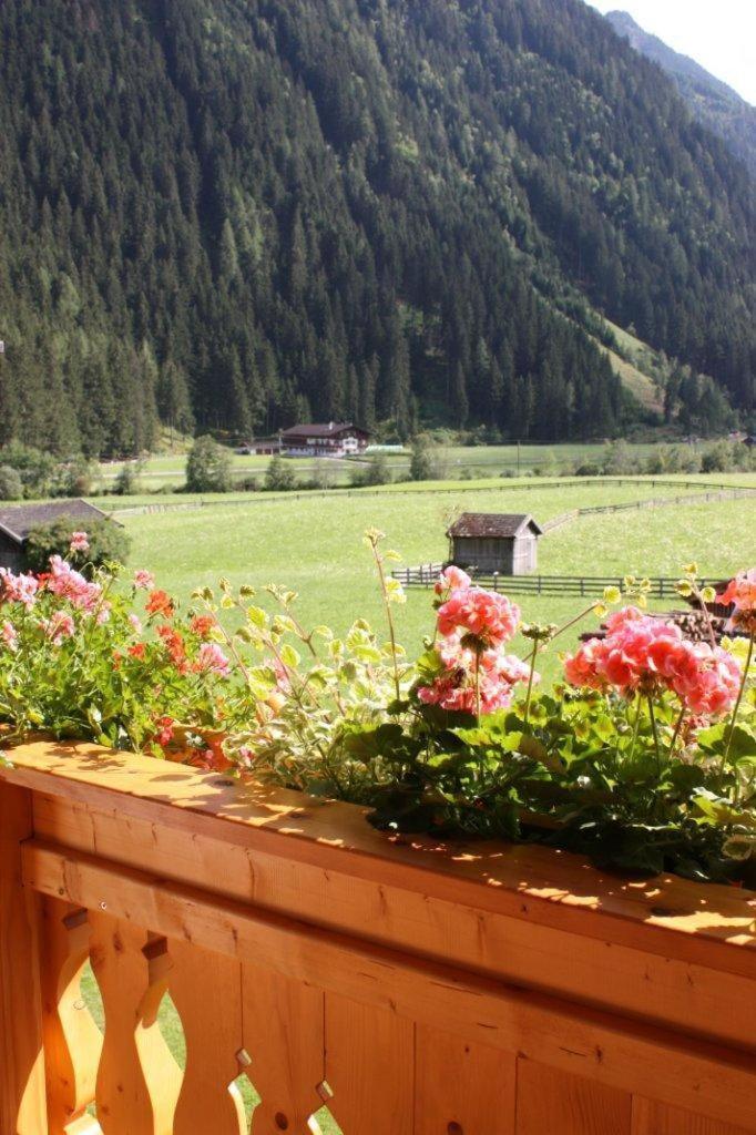 Landhaus Alpensonne Нойщифт им Щубайтал Екстериор снимка