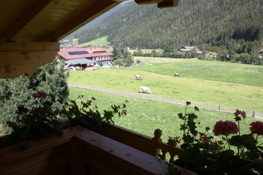 Landhaus Alpensonne Нойщифт им Щубайтал Екстериор снимка