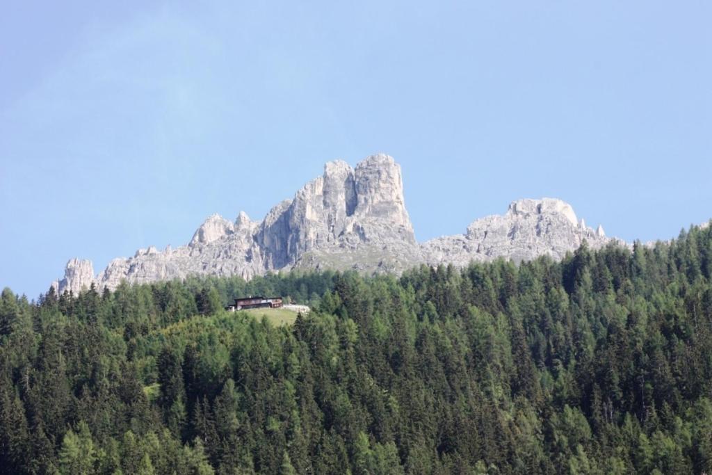 Landhaus Alpensonne Нойщифт им Щубайтал Екстериор снимка
